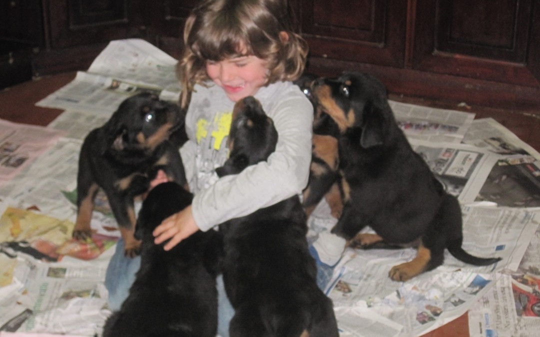 FILIPPO E LA SCELTA DEL CUCCIOLO